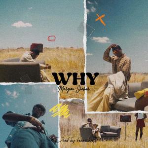 Why (Explicit)