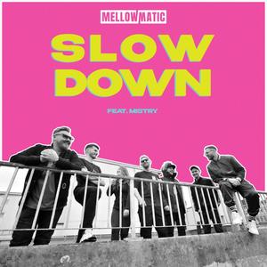 Slow Down (feat. Mistry)