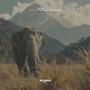 Viśva Upacāra (Slow Night View)