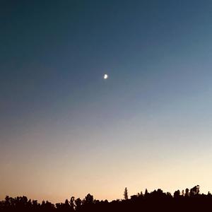 looks max (feat. YefaPop) (Explicit)