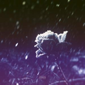 WAY 2 HIGH (feat. Kolofrl) (Explicit)