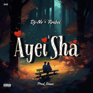 Ayei'sha (feat. Fireboii & Decent)