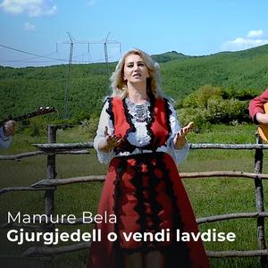Gjurgjedell o vendi lavdise