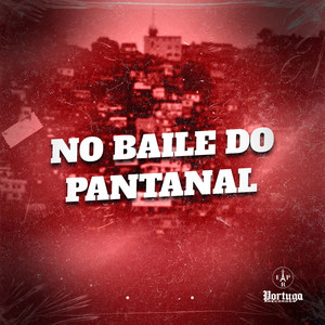 NO BAILE DO PANTANAL (Explicit)