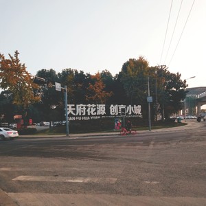 再见花源