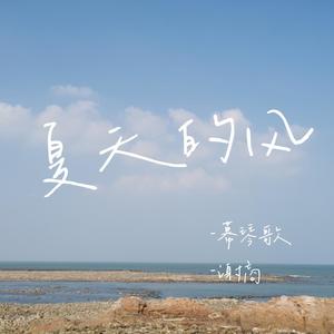 夏天的风（小少年翻唱）