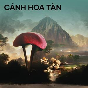 CÁNH HOA TÀN