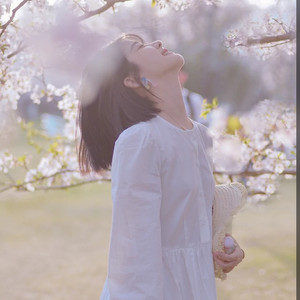 凌秋汐 - 奔赴北国的告别｜旅行文艺