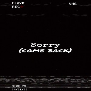 Sorry (Come Back) [Explicit]