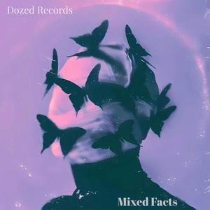 Mixed Facts (Explicit)