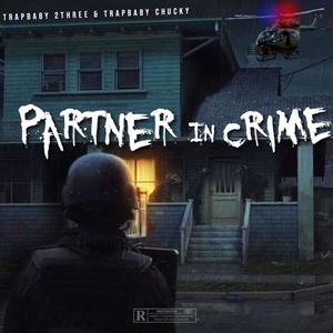 Partner In Crime (Explicit)