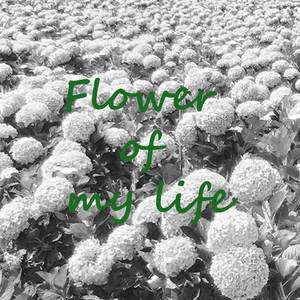 Flower Of My Life - Cinematic