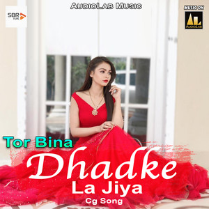 Sarguja Ke Mohani Turi Ka Jadu Dare