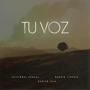 Tu Voz(feat. Danilo Isla)
