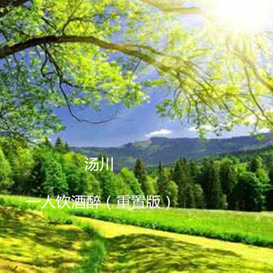 一人饮酒醉 (重置版)