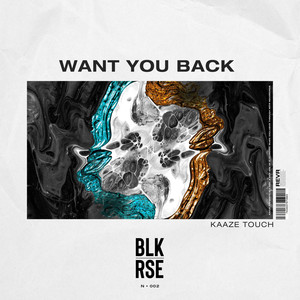 Want You Back (KAAZE Touch)