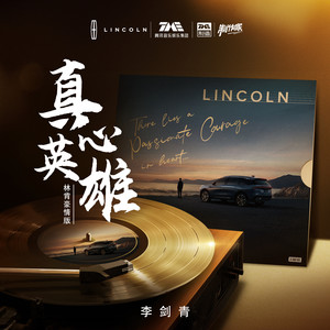 真心英雄 (林肯豪情版和声伴奏)封面