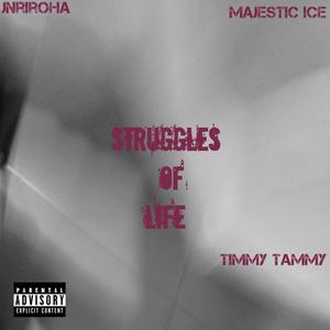 Struggles Of Life (feat. Majestic Ice & Timmy Tammy) (Explicit)