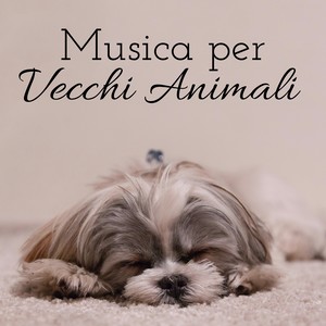 Musica per Vecchi Animali - Musicoterapia per Animale da Compagnia