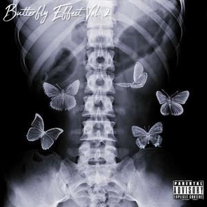 Butterfly Effect Vol. 2 (Explicit)