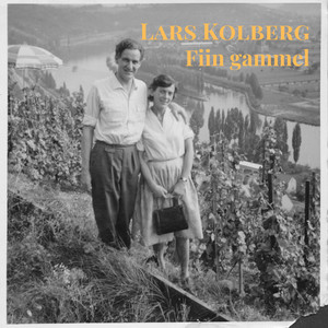 Fiin gammel