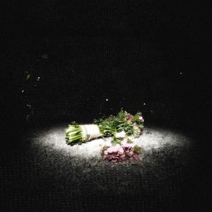 吉隆坡的夜没有霓虹灯 (feat. 西屯纯爱组)