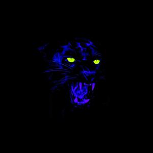 M13 (feat. El Osito Wito) (Explicit)