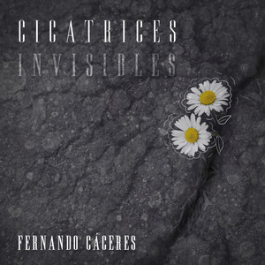 Cicatrices Invisibles