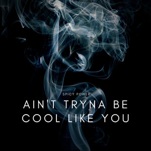 Ain't Tryna Be Cool Like You (Explicit)