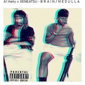 B R A I N / M E D U L L A (Explicit)