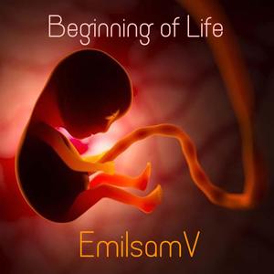 Beginning of Life