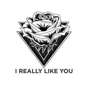 I Really Like You