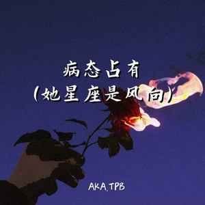 病态占有 (她星座是风向)