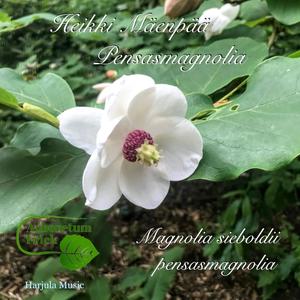 Pensasmagnolia (Radio Edit)