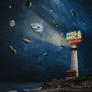 เอเวอร์เรสสุดแสนไฮ (หมา)