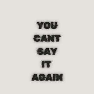 YOU CANT SAY IT AGAIN (Explicit)