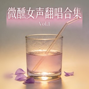 庐州月 (微醺版)封面