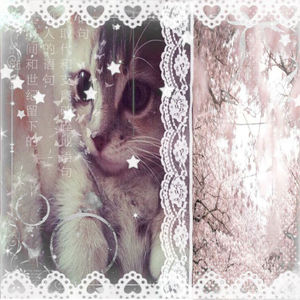 Nyahcatgirl xD (Explicit)