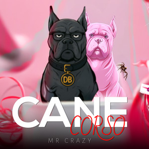 CANE CORSO (Disstrack|Explicit)