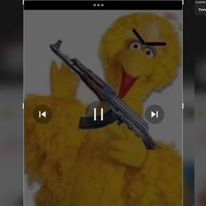 Big Bird (Explicit)