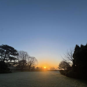 Gut Health Freestyle (Explicit)