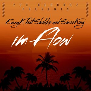 Im Flow (Explicit)