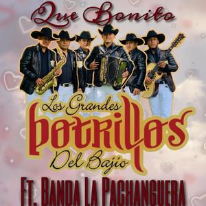 Que Bonito (feat. Banda La Pachanguera)