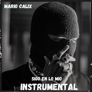 SIGO EN LO MIO INSTRUMENTAL