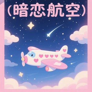 暗恋航空 (谁叫我自卑)封面