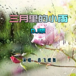 三月里的小雨（DJ版）