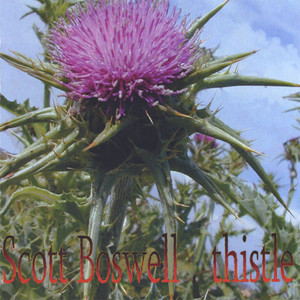 Thistle