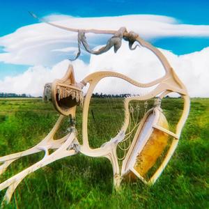The Allure of Teleogenesis