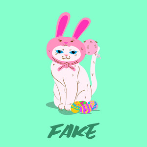 Fake