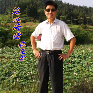 泛水荷塘